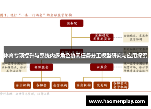体育专项提升与系统内多角色协同任务分工模型研究与应用探索