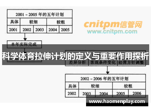 科学体育拉伸计划的定义与重要作用探析